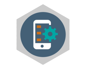 Native App Development