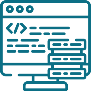 Custom Software Development