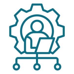 Software Consulting services