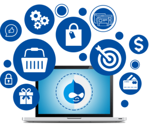 Services | Open Source Development | Drupal Development Services | Dedicated | hourly | fixed cost | Niotechone Software Solution Pvt Ltd