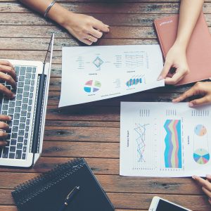 Niotechone business plan strategy focusing on goals, planning, and execution for sustainable growth