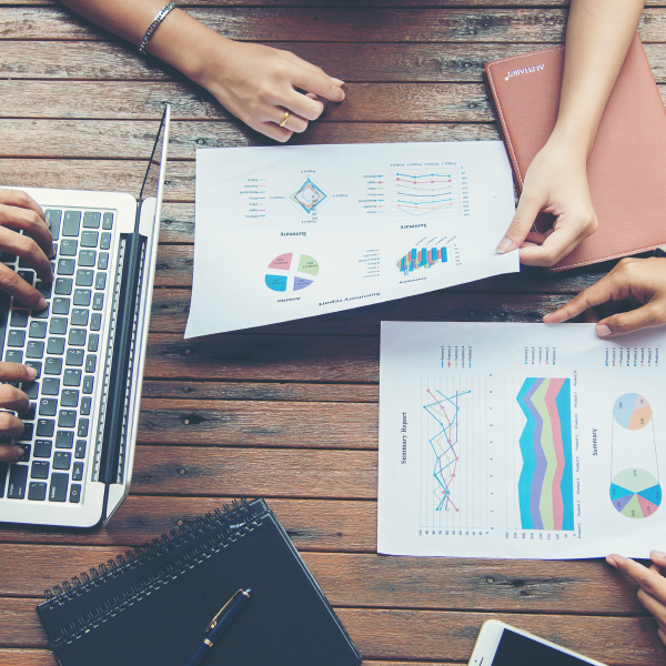 Niotechone business plan strategy focusing on goals, planning, and execution for sustainable growth