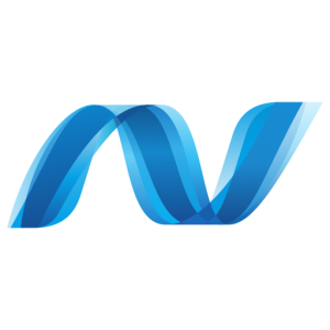 Custom ASP.NET web application development services