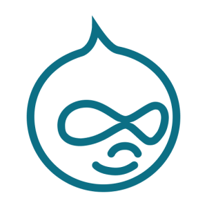 Drupal logo representing expert Drupal developers for custom web development and CMS solutions.
