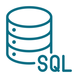 MS SQL Server Development Services – Niotechone Software Solution Pvt. Ltd.