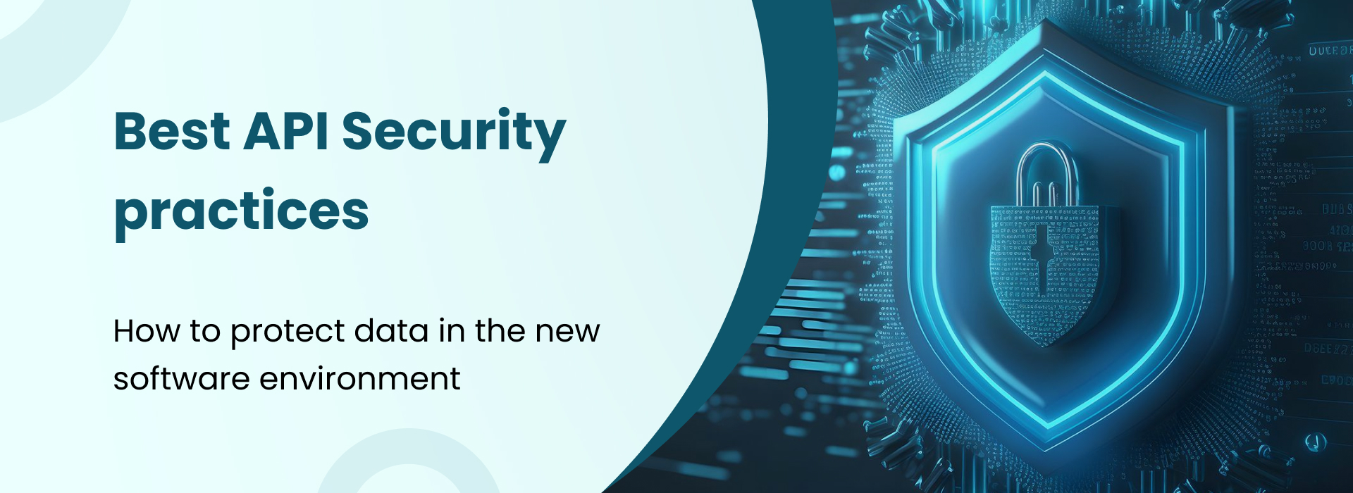 Best API security practices to protect data in modern software environments
