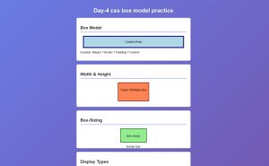 CSS box model practice diagram showing margins, borders, padding, and content area
