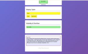 CSS box model example demonstrating padding, border thickness, and element spacing adjustments