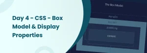 CSS Box Model and Display Properties diagram showing content, padding, border, margin layers