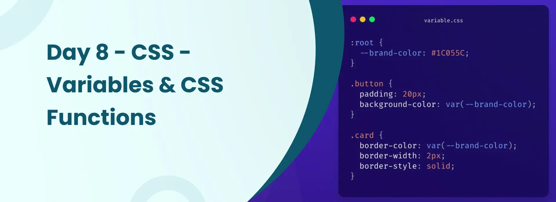 Day 8 CSS Variables and CSS Functions tutorial illustration