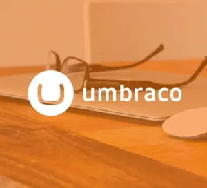 Umbraco CMS developer designing and managing website content with .NET technology