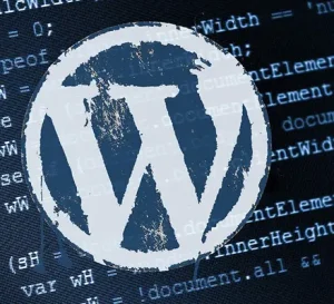 Professional WordPress developer coding custom website with responsive design
