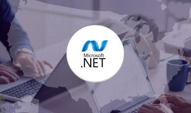 .NET Development Company
